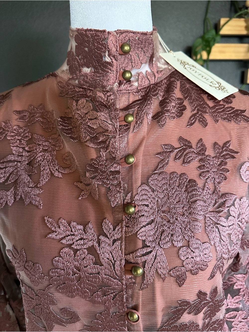 JOYFOLIE Bellana Dress in Rosette | Romantic Embroidered Mesh Maxi Dress | NWT - Picture 10 of 16